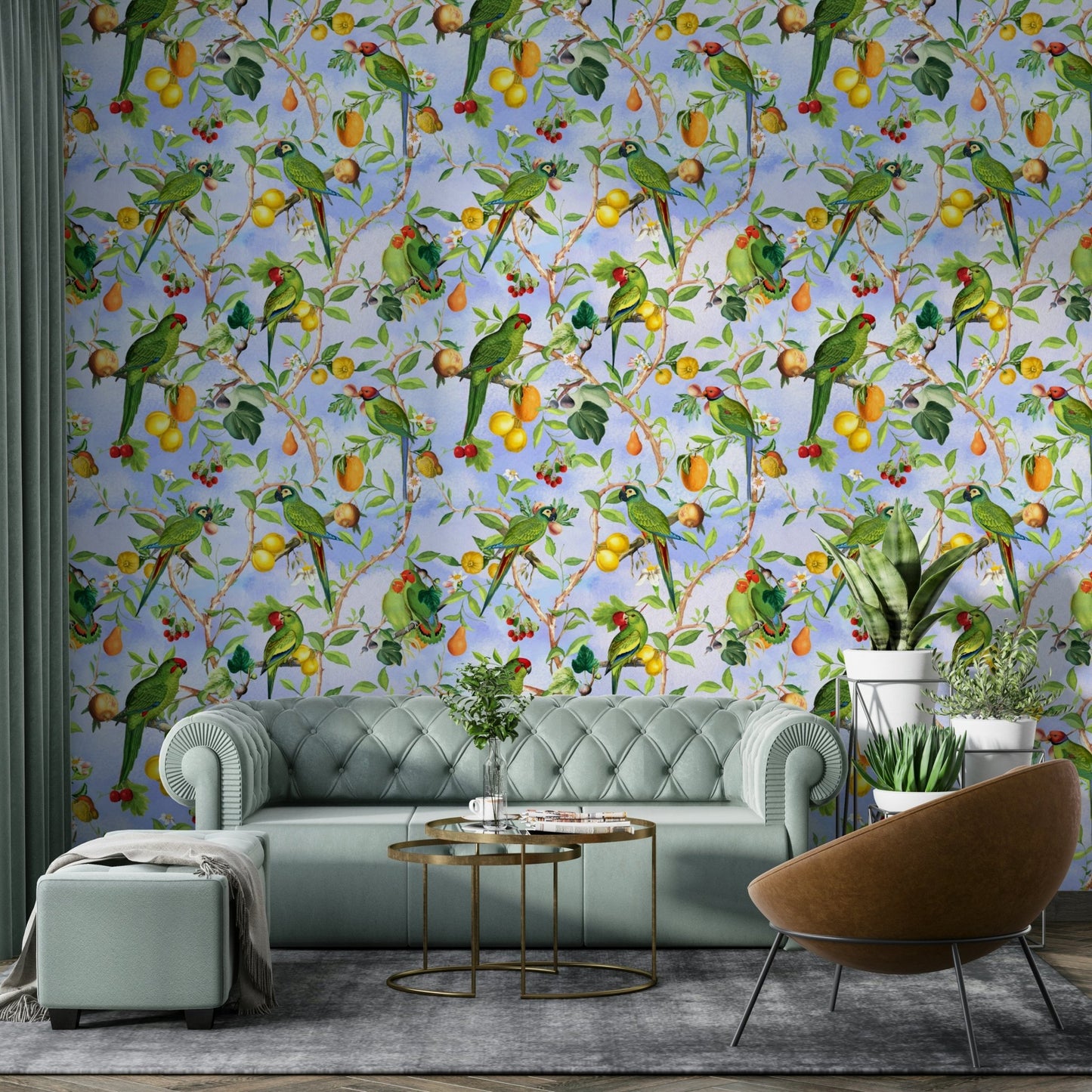 Parrot and exotic birds mural for walls

