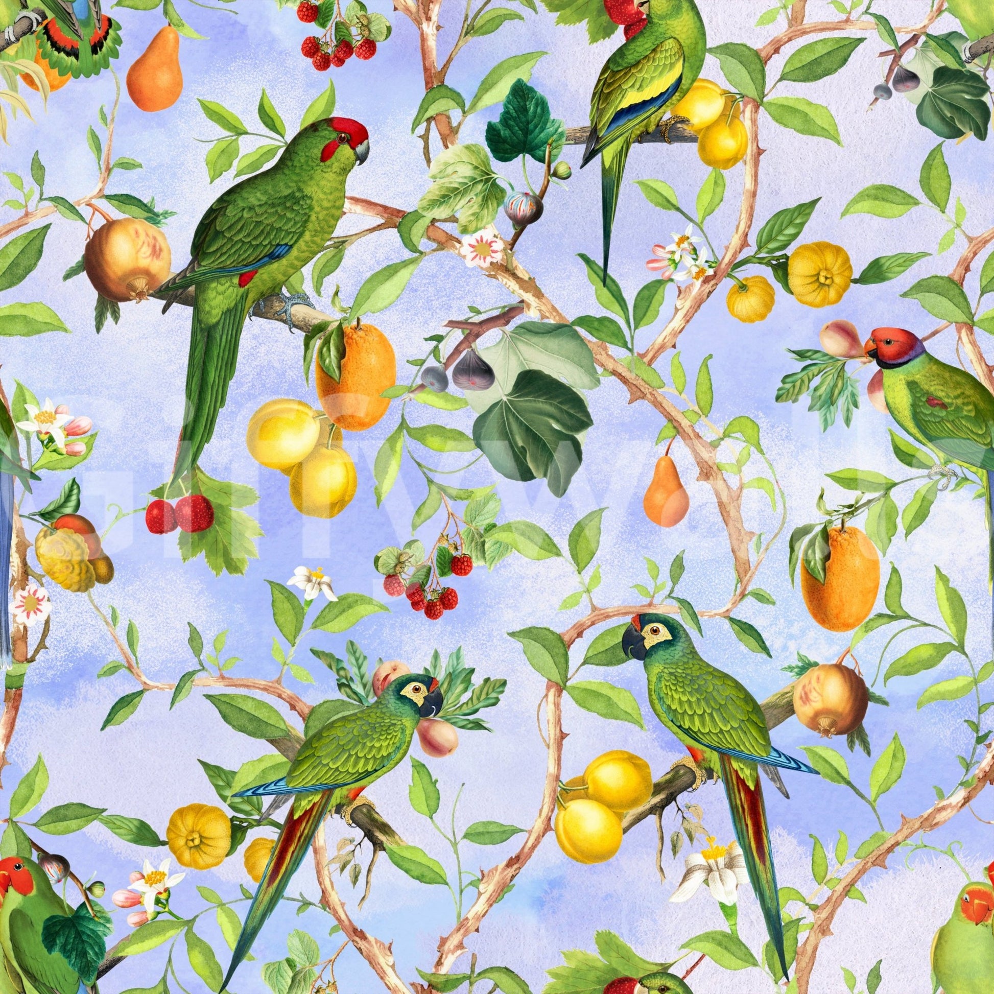 Tropical birds wall mural for vibrant interiors


