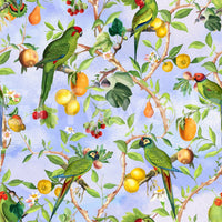 Tropical birds wall mural for vibrant interiors

