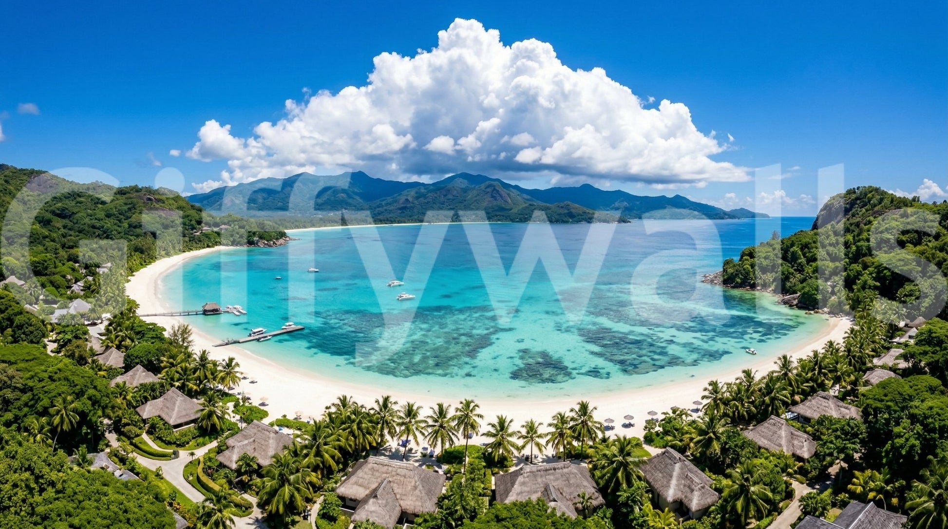 Aerial coastal scene in Tropical Paradise View Wall Mural with bright blue water