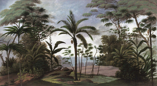 Tropical Rainforest Wallpaper Murals - Giffywalls, A527