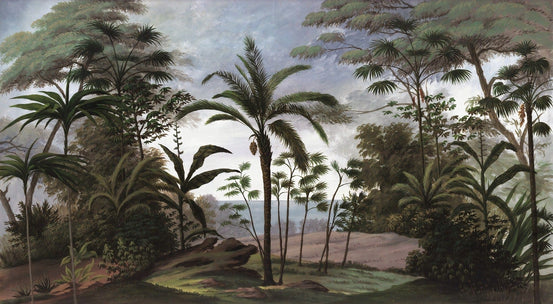 Tropical Rainforest Wallpaper Murals - Giffywalls, A527