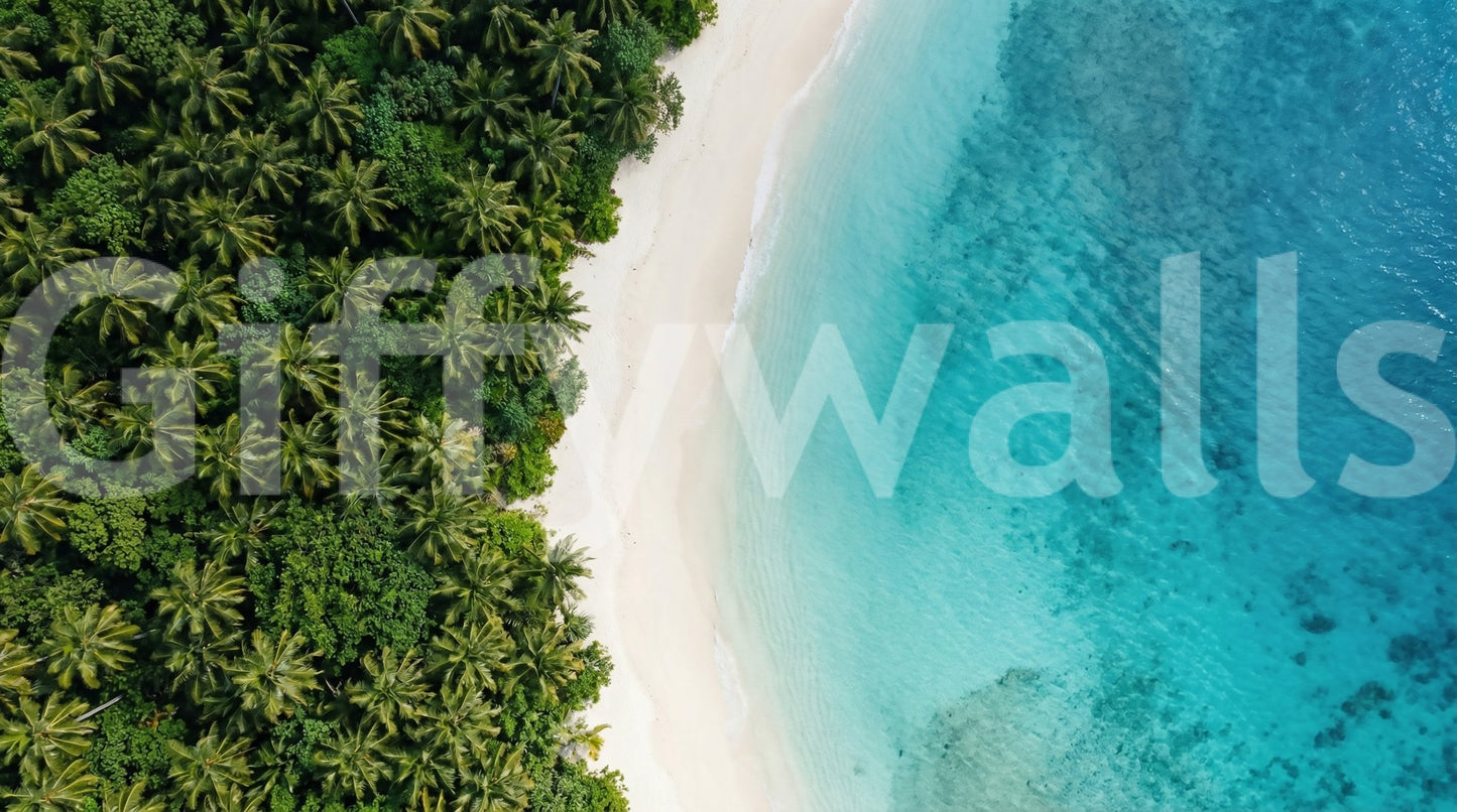 Curving shoreline runs between palm canopy and sea on this aerial wall muralGD9557