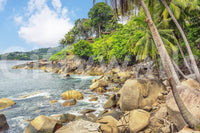 Tropical Shores Wall Mural with rocky beach, palms, and lush green coastal hillside, GD7949