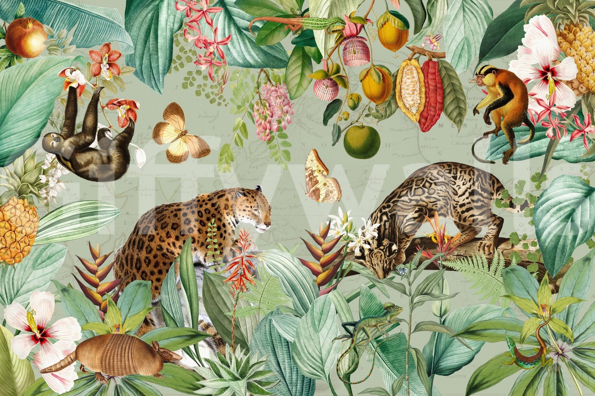 Tropical Vintage Expedition 1 Wall Mural
