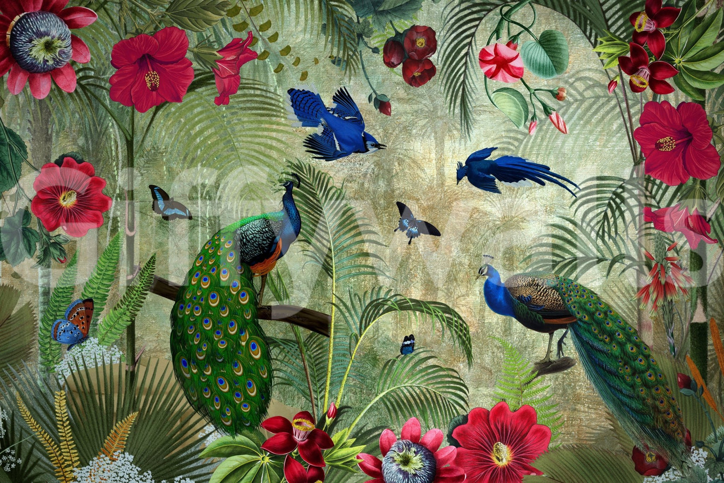 Tropical Vintage Peacock Paradise Wall Mural