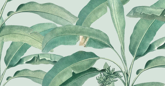 Tropical Banana Leaf Wallpaper Mural
