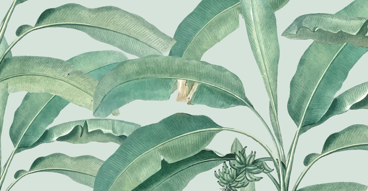 Tropical Banana Leaf Wallpaper Mural in your room — zoomed