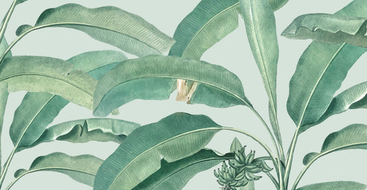 Tropical Banana Leaf Wallpaper Mural
