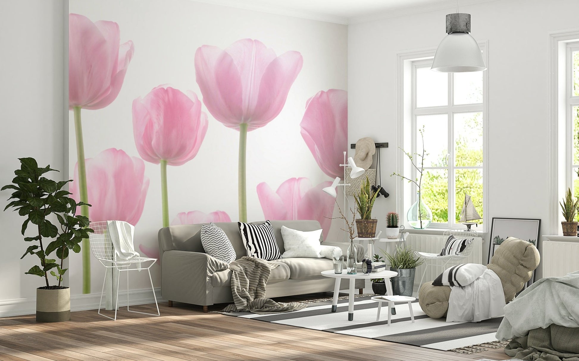 Soft pink tulips, white background, elegant Tulip Bulbs Wall Mural.