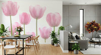Soft pink tulip blossoms, stunning simple floral wallpaper focus.