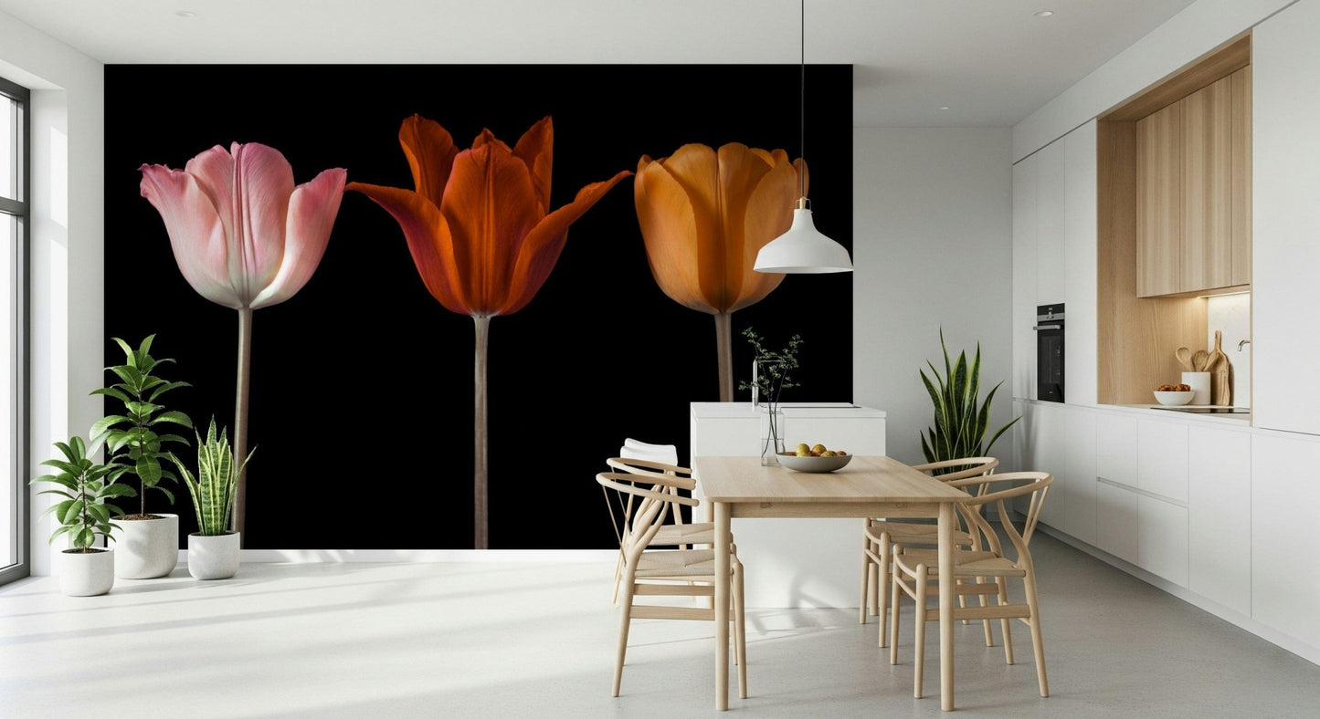 Tulip Trio Wall Mural with a clean and neutral background., GD7712