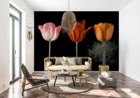 Tulip Trio Wall Mural with soft lighting and natural shadows., GD7712