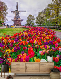 Inspiring office decor with the Tulip Windmill Garden Wall Mural.