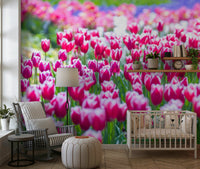 Tulip Wonderland Wall Mural providing a vibrant background to a modern desk.