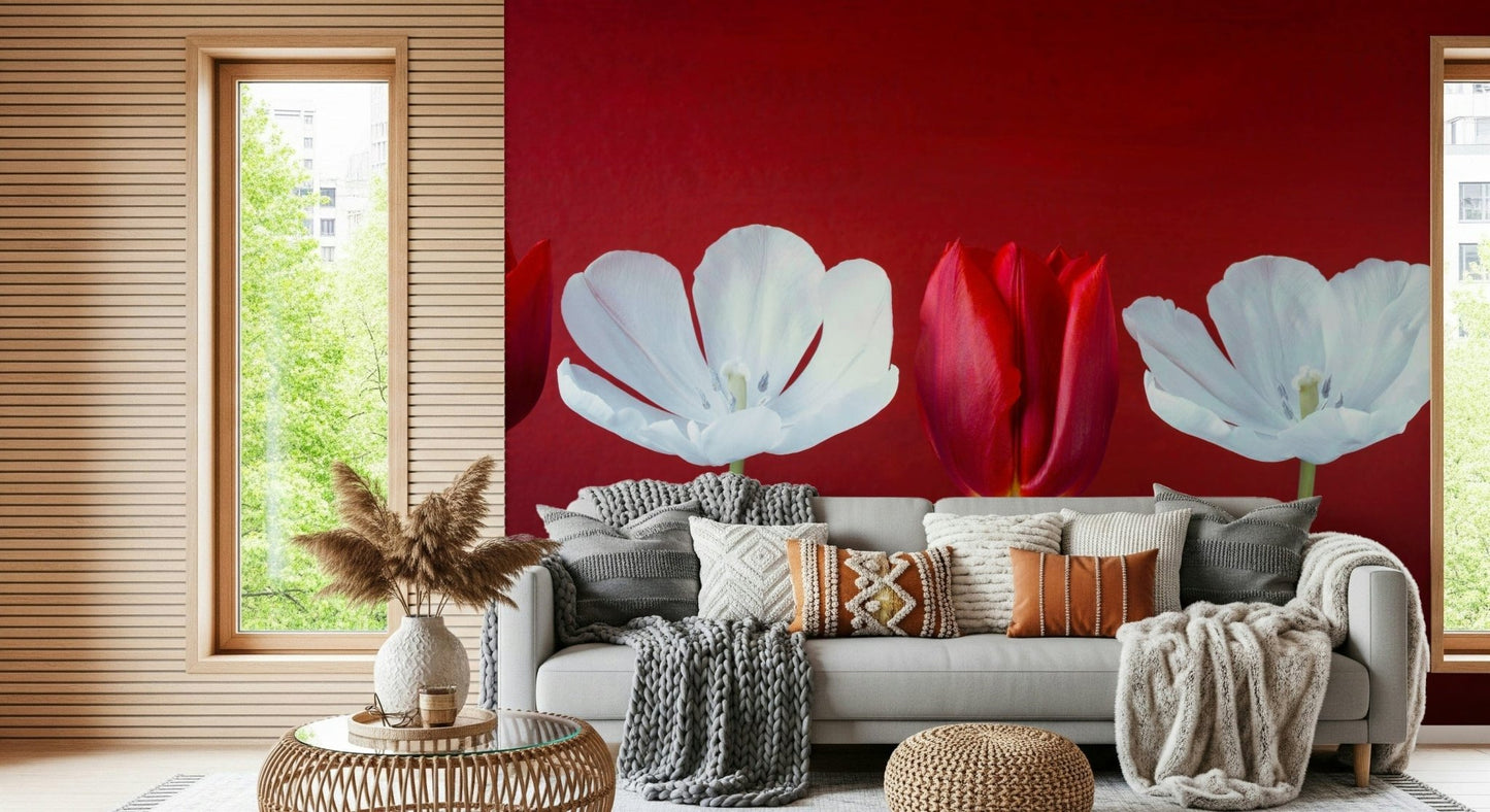 Crimson Poppy Field wallpaper mural featuring elegant scarlet blooms.