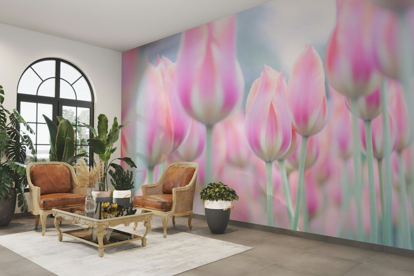 A beautiful field of pink and white tulips in soft focus.

