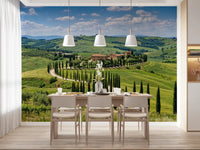 Tuscan Cypress Serenity Wall Mural