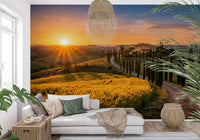 Winding path leads through Tuscan Golden Hour wall mural scene, GD9223