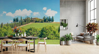 Tuscan Hillside Wall Mural