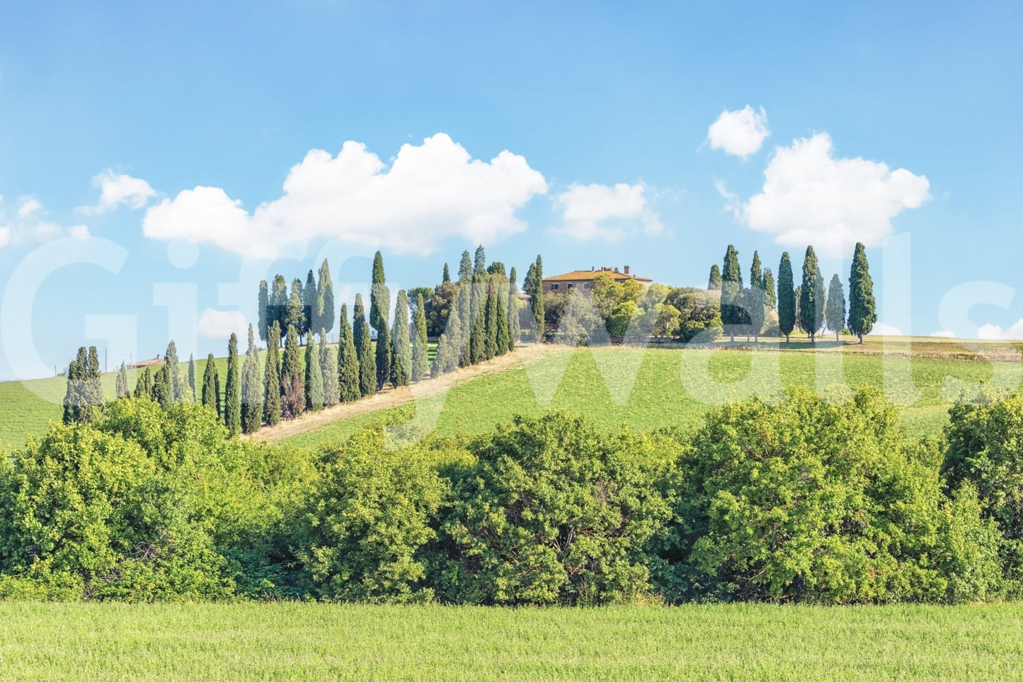 Tuscan Hillside Wall Mural