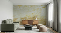 Historic textured surface Tuscan Texture wall graphic print.