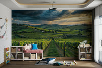 Wine country Tuscan mural for wall decor


