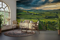 Beautiful Tuscan vineyard wall mural art