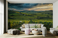 Gorgeous Tuscan vineyard landscape mural

