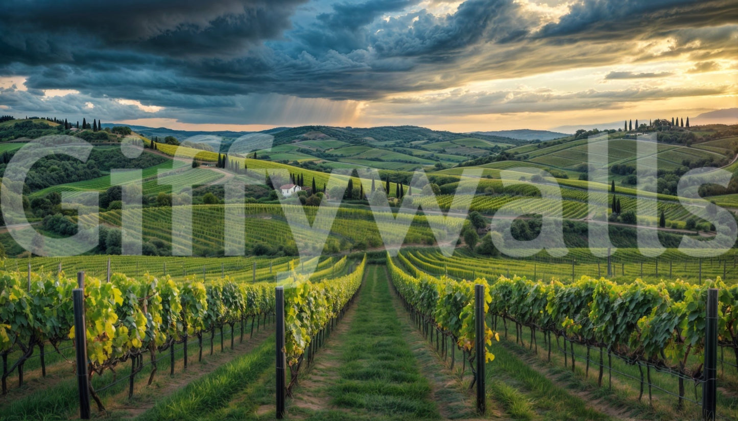 Scenic vineyard wall mural Tuscan style