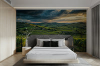 Vineyards in Tuscany wall mural decor