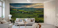 Rustic Tuscan vineyard wall mural design

