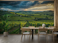 Tuscany vineyard landscape wall mural

