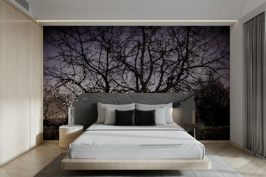 Twisted Tree Silhouette | Moody Landscape Photography | Barren Beauty Wall Mural