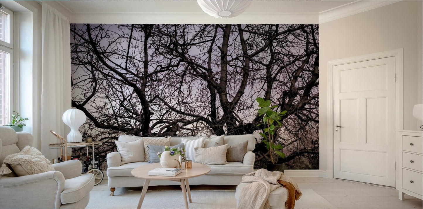 Twisted Tree Silhouette | Moody Landscape Photography | Barren Beauty Wall Mural