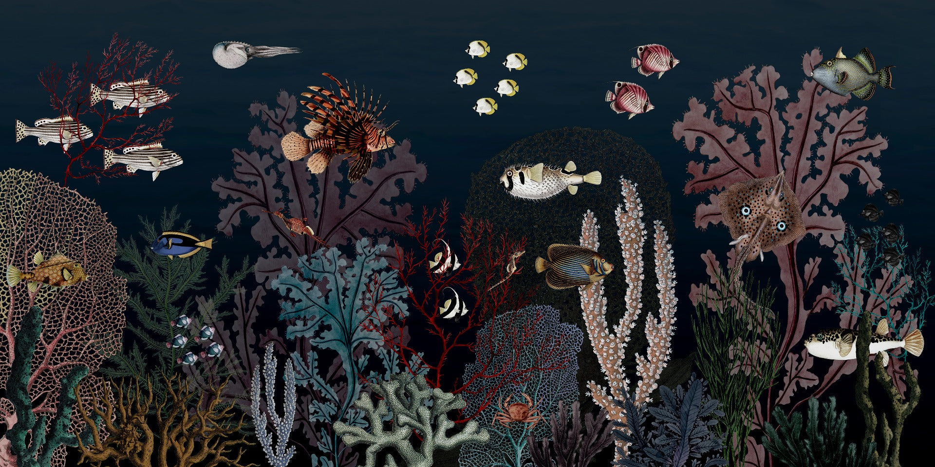 Roaring Reef Blue Wallpaper Murals