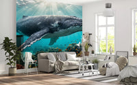 Living room highlights Underwater Paradise wall mural with whale and reef, GD9224
