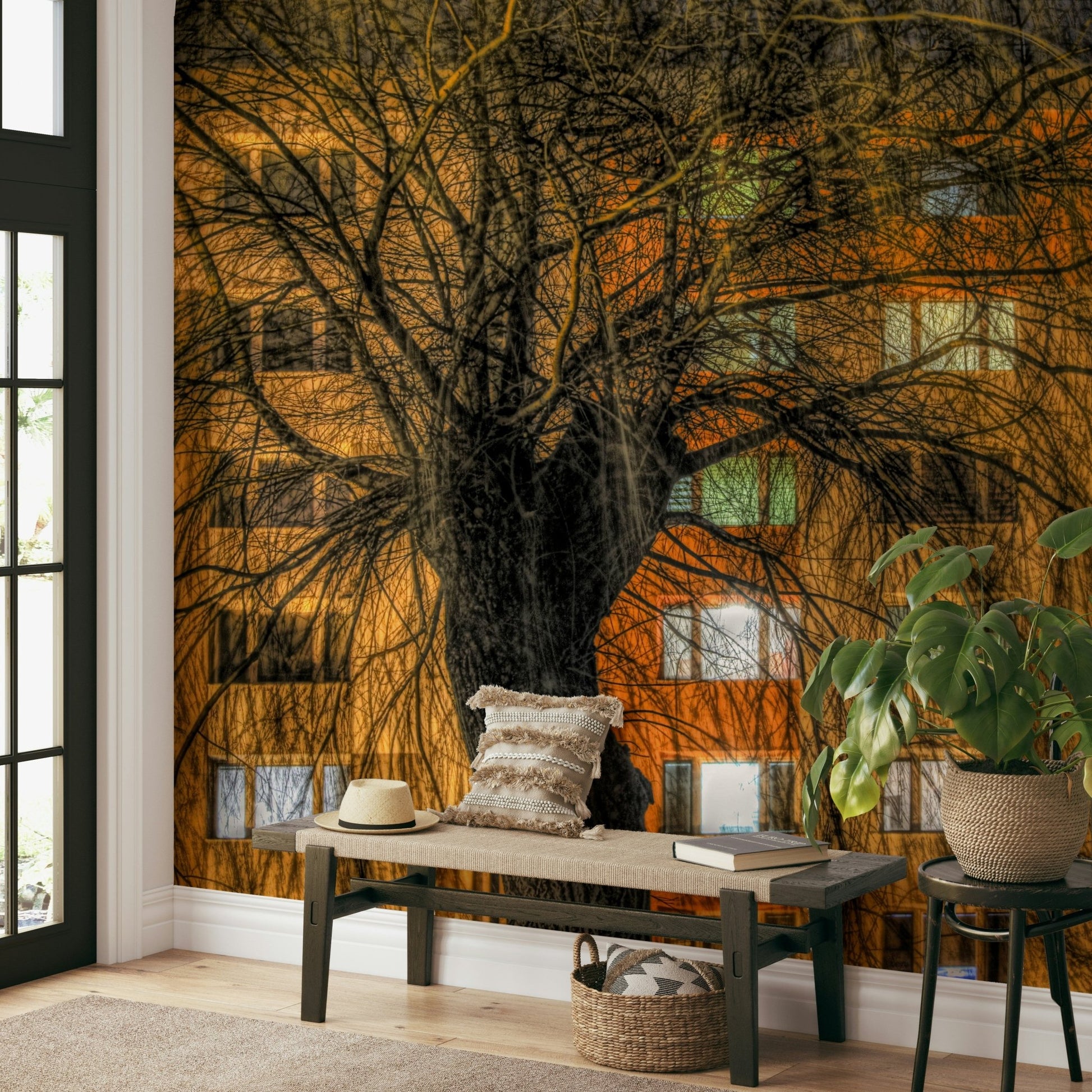 Tree silhouette against illuminated building.

