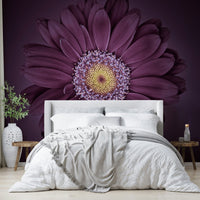Vibrant Velvet Bloom Wall Mural for Stylish Interiors

