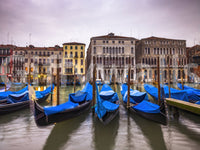 Venetian Blues Wall Mural