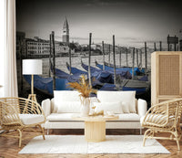 Panoramic city view wall mural of a famous Italian landmark at daytime.