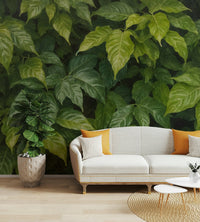 The texture of different plant leaves, both large and small.

