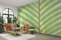 High-resolution image of foliage.

