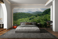 A graceful misty mountain wall mural in rich, deep tones., GD5126