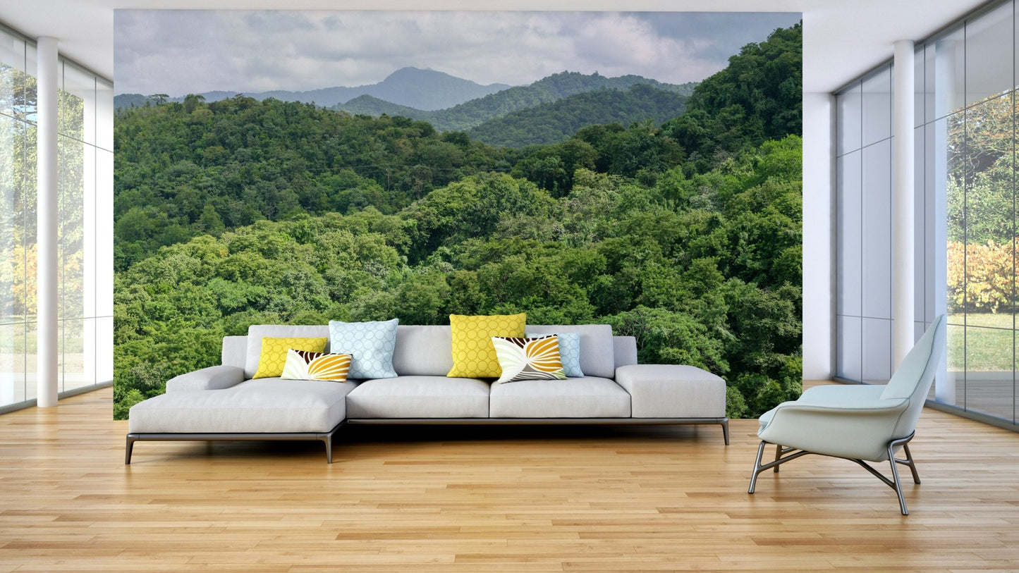 A classic forest view wallpaper for walls., GD5126