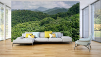 A classic forest view wallpaper for walls., GD5126