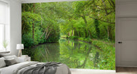 Wide panoramic Verdant Stream Escape Wall Mural wall art.