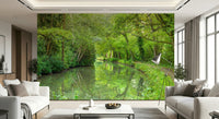 Deep forest Verdant Stream Escape Wall Mural view graphic.
