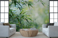 Soft focus green forest wall mural background