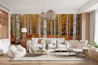 Birch forest wall mural with Vibrant Autumn Birches fall landscape